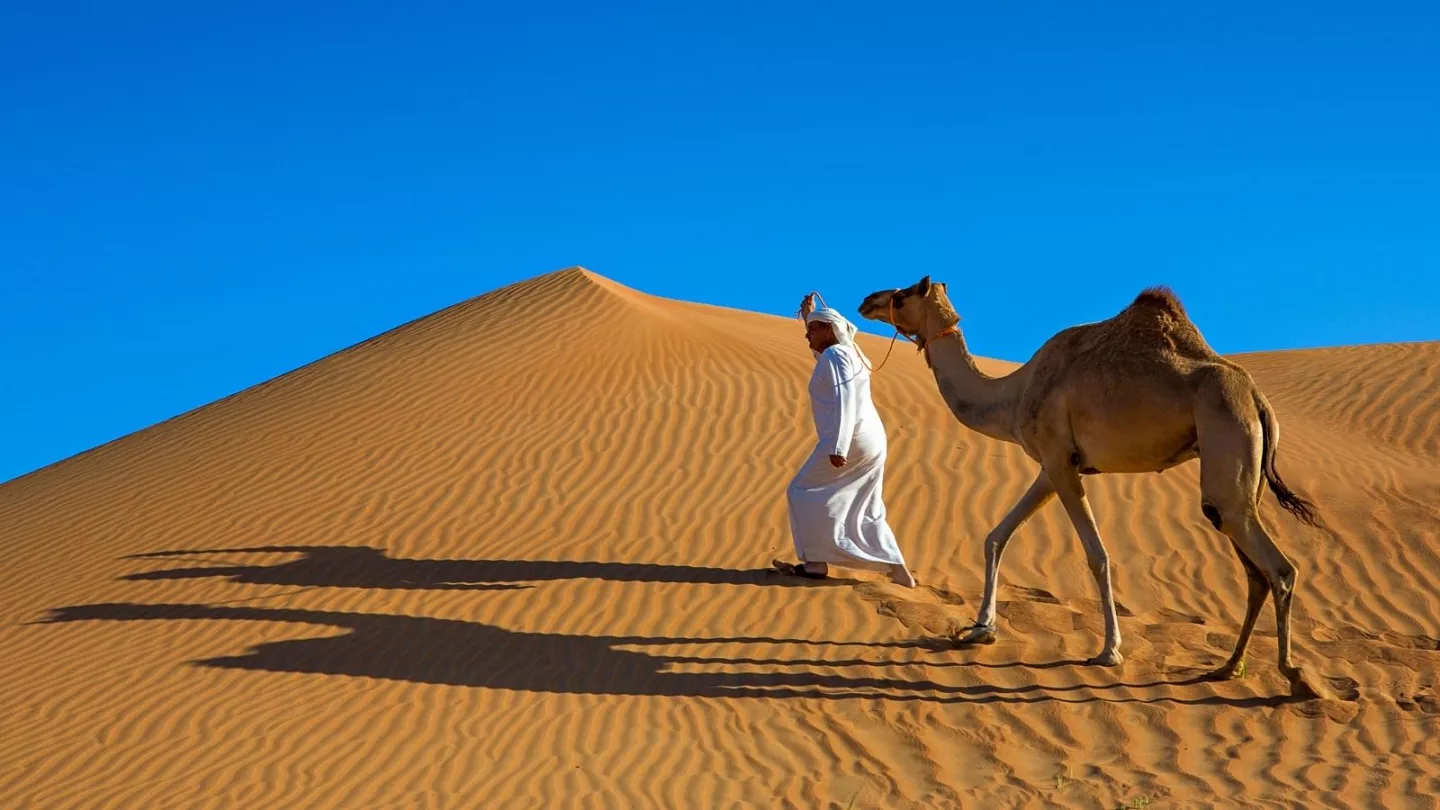 Desert Adventures